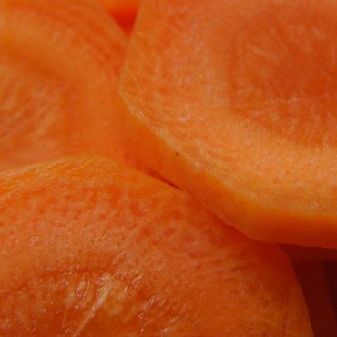 rondelles de carottes
