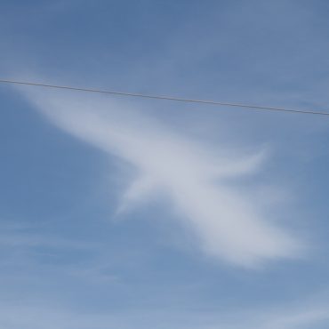Nature du dimanche: Oiseau nuage